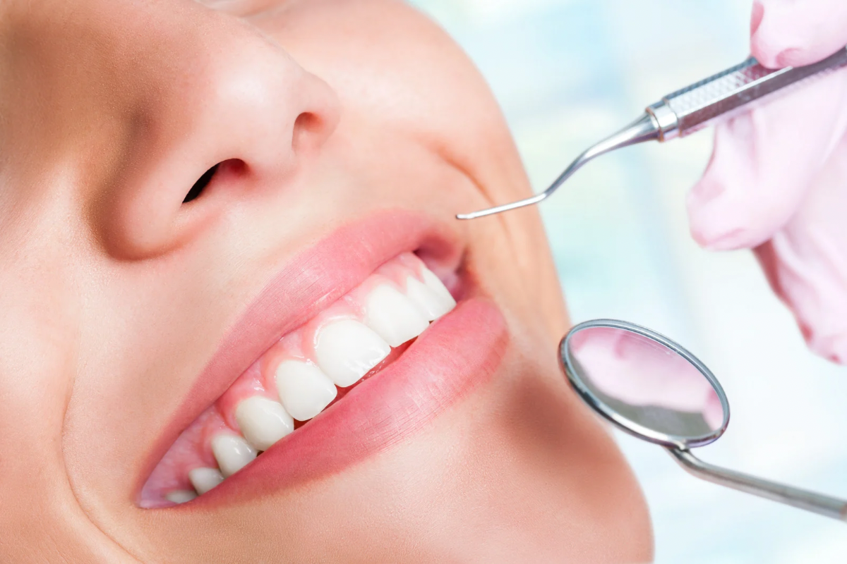 🦷歯は何本ある？知っておきたい歯の本数とそれぞれの役割🦷