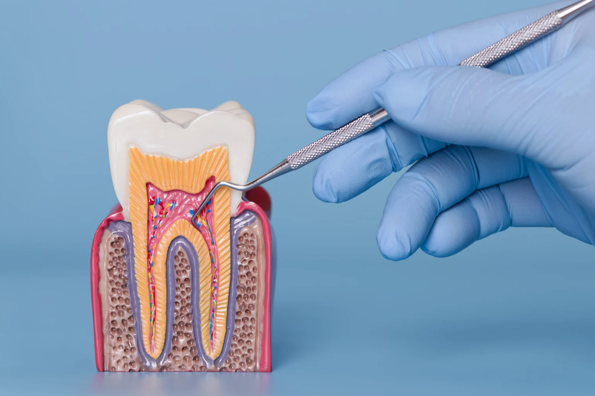 🦷歯はどれくらい硬い?—エナメル質の強さとケア🦷